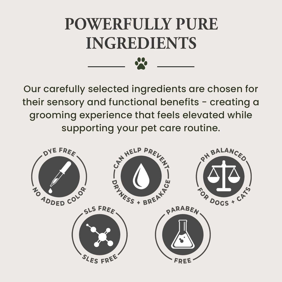 Pet Shampoo | Soothing & Deodorizing | Unscented