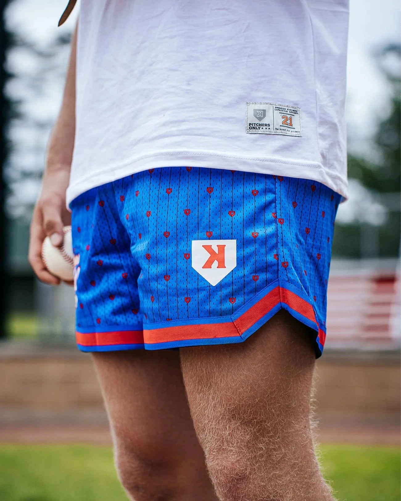 Mesh Pinstripe Shorts - Blue/Red